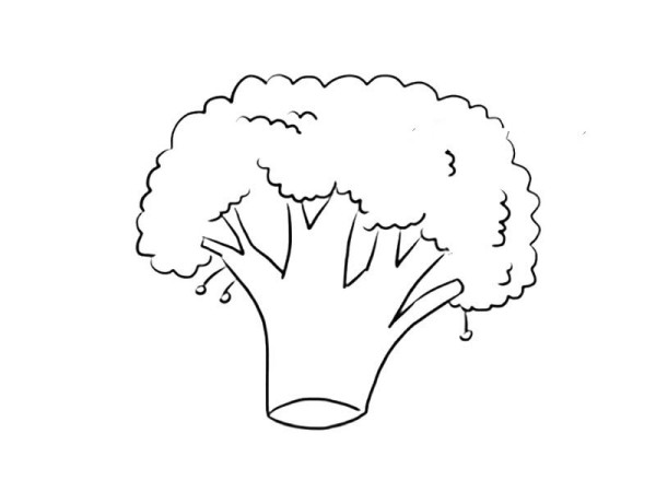 How to draw vegetable broccoli