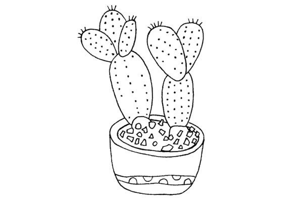 Learn to draw a beautiful potted cactus in four simple steps