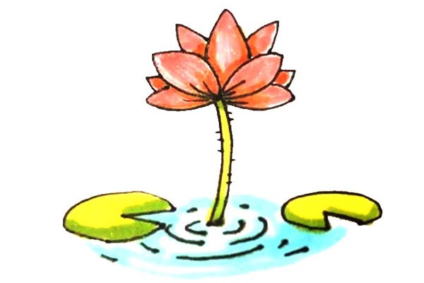 Children learn to draw lotus easily