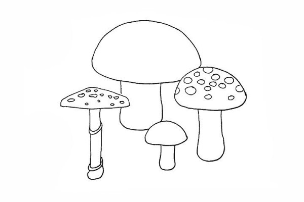 A set of simple drawing tutorials for mushrooms