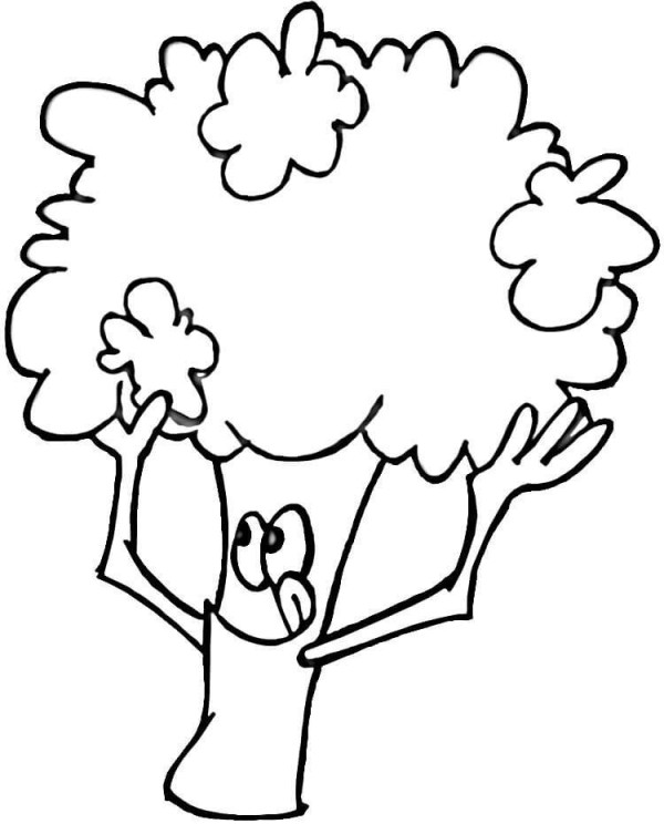 Cartoon cauliflower simple drawing picture