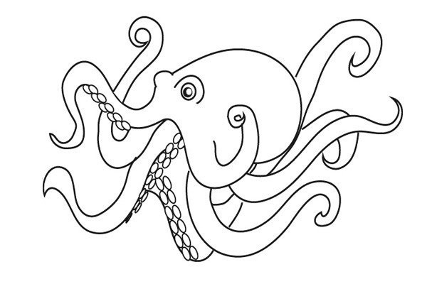 How to draw octopus in simple strokes