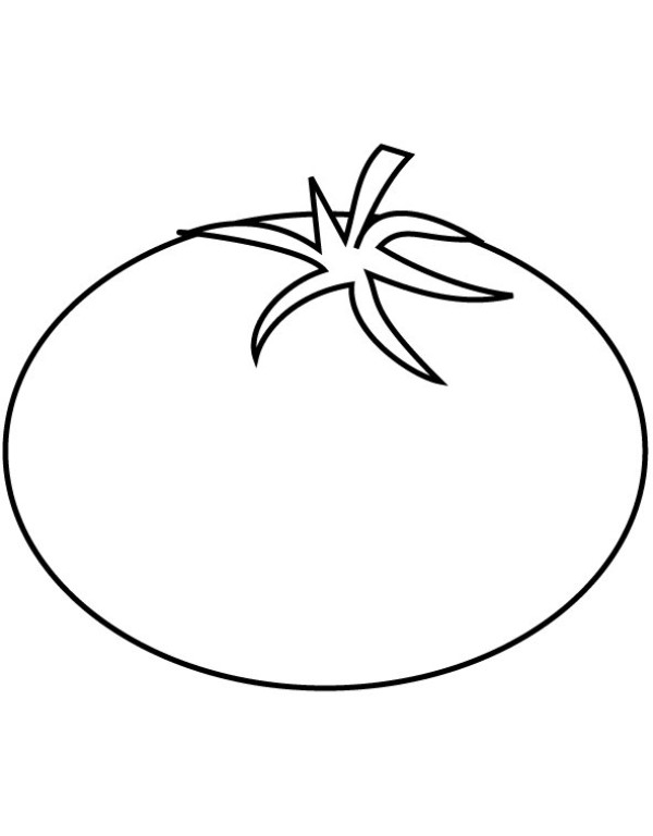 Simple tomato sketch