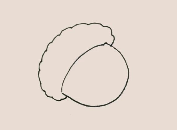 Simple drawing of acorn