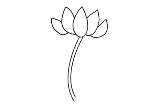 A complete collection of simple drawings of lotus and the steps of drawing