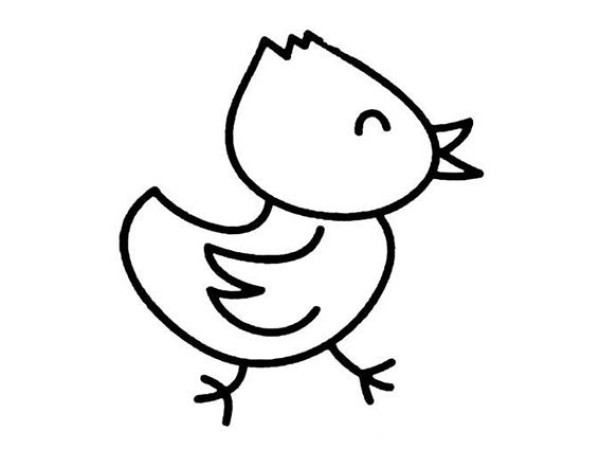 Chicken simple drawing picture