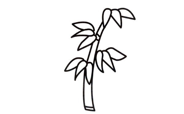 How to draw bamboo with simple strokes. How to draw green bamboo with simple strokes.