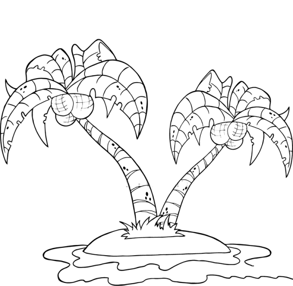 What does a coconut tree look like?