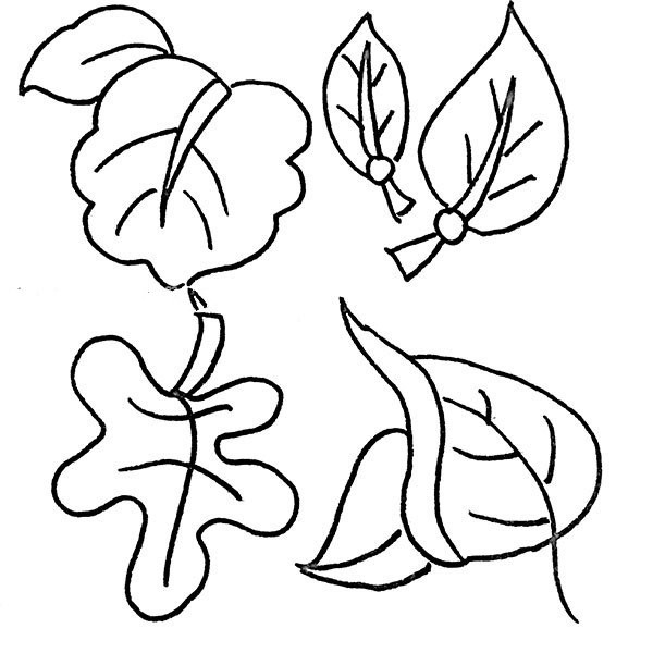 36 simple drawing pictures of leaves