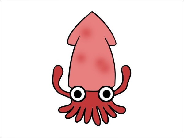 Simple strokes of squid