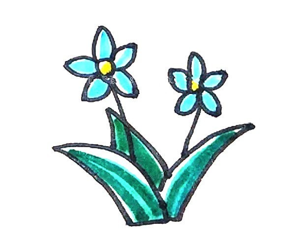 Learn to draw simple daffodils