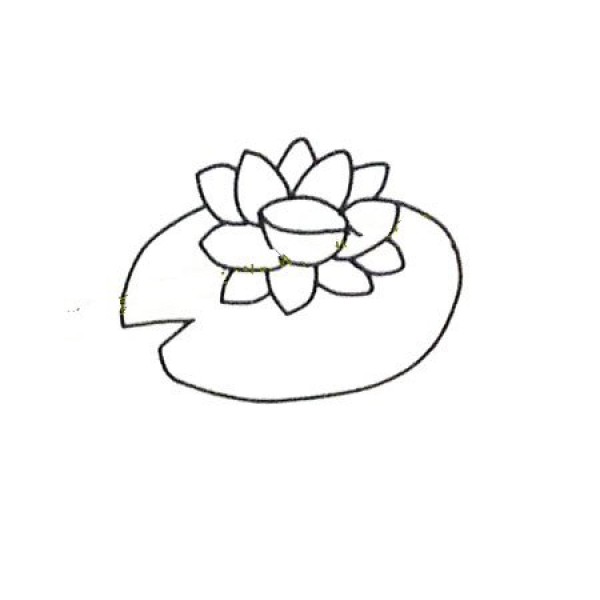 Learn to draw step by step: Lotus