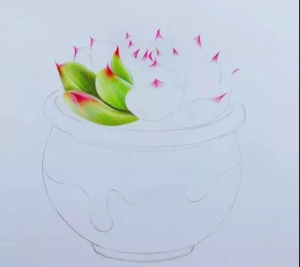 Colored lead painting~Teach you how to draw a combination of succulent flowers and pots!