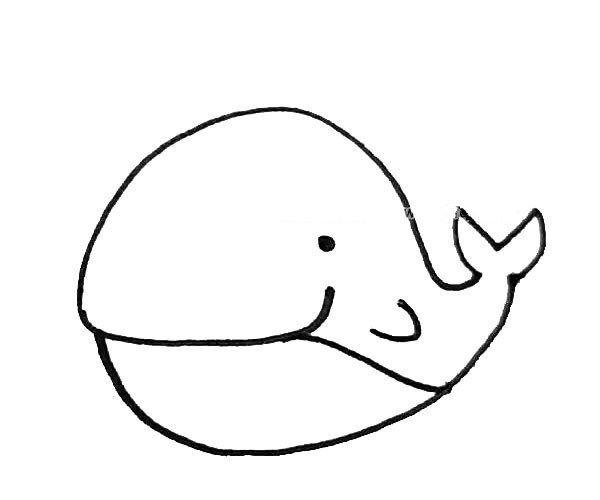 Learn to draw a cute whale