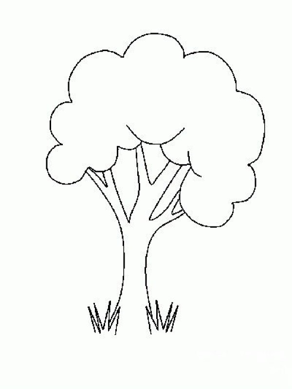 A complete collection of simple drawing pictures of beautiful big trees