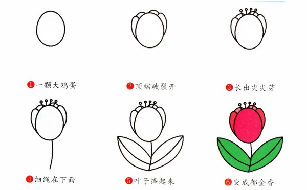 Step by step drawing of pink tulips