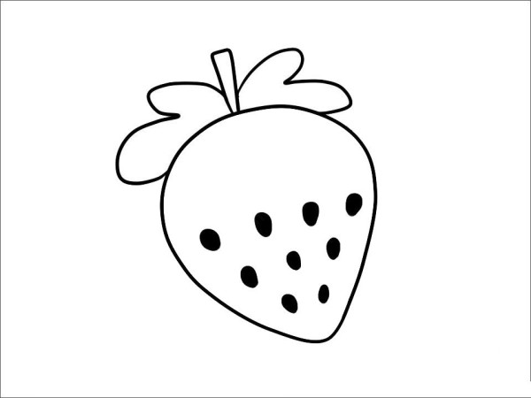 Complete collection of simple strokes of fruits