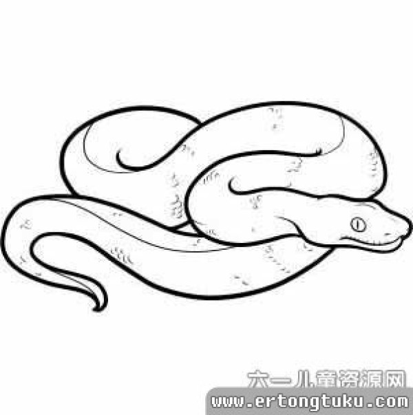 Snake simple drawing tutorial of cute little snake simple drawing