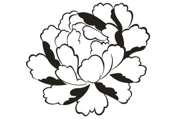 Flower simple drawing, peony flower simple drawing picture collection