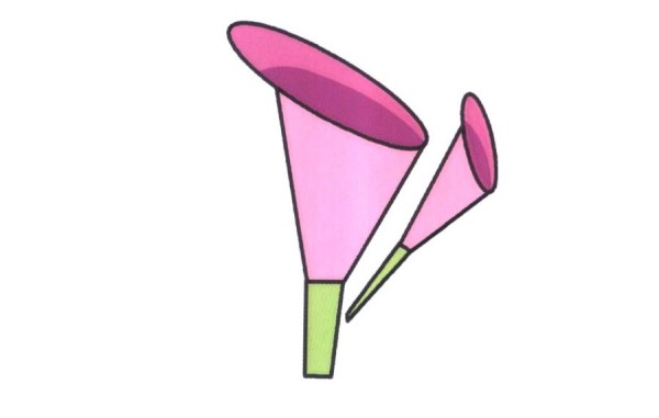 Simple drawing method of pink calla lily colorful flowers