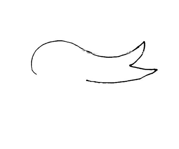 Learn to draw beautiful swallows