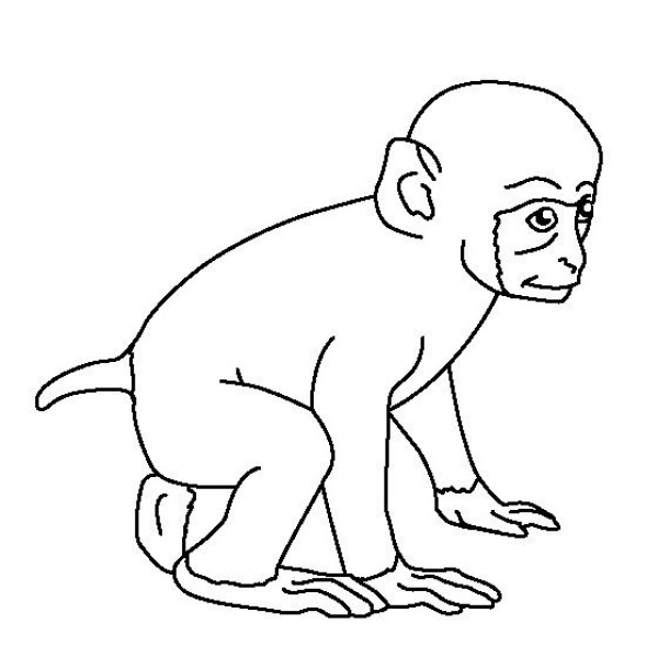 Simple drawings of animals, simple drawings of little monkeys