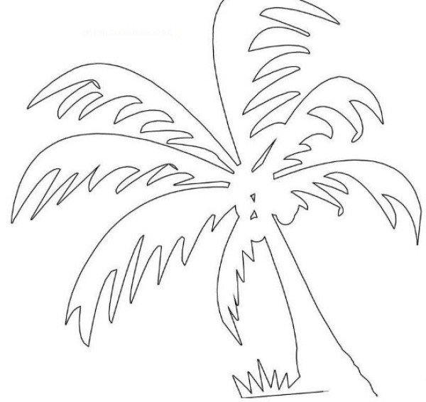 Beach coconut tree simple strokes