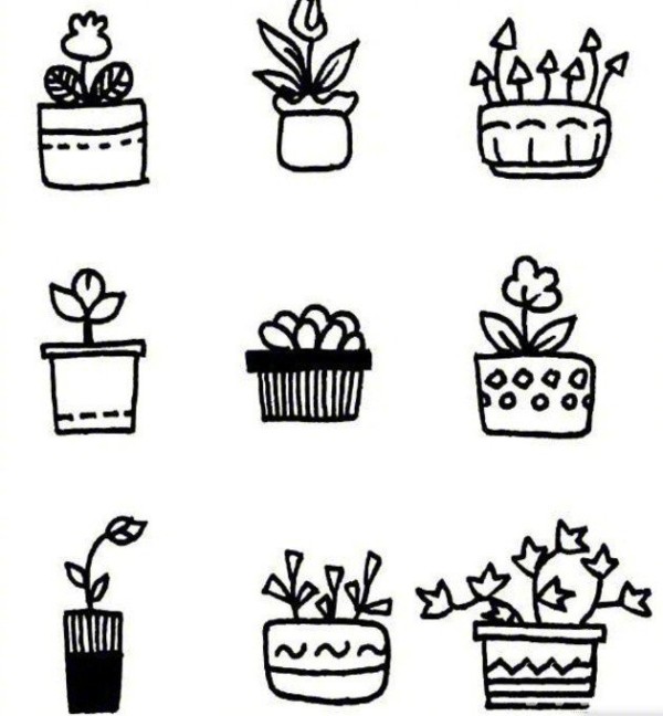 A complete collection of simple black and white sketches of potted plants