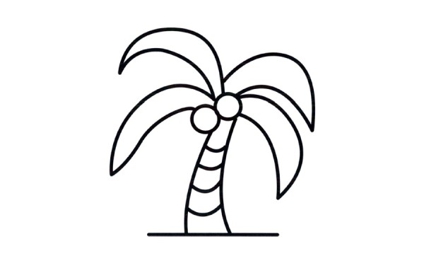 How to draw coconut trees on the beach with simple strokes