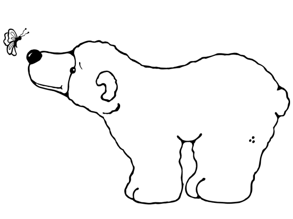 polar bear and butterfly