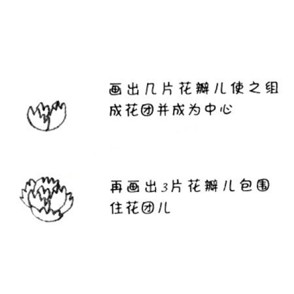 Carnation simple strokes drawing tutorial