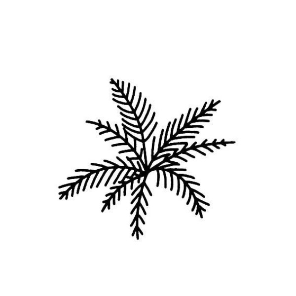 A complete collection of simple strokes of various leaves