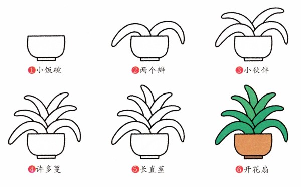 Simple drawing method of green plant Clivia