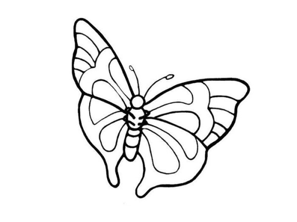 Complete collection of butterfly simple strokes