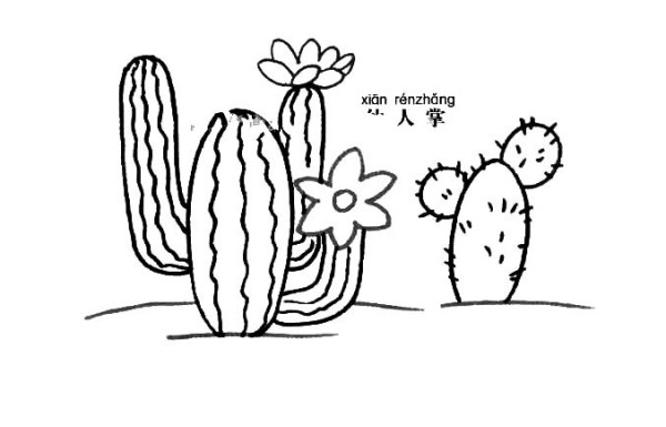 Cactus simple strokes