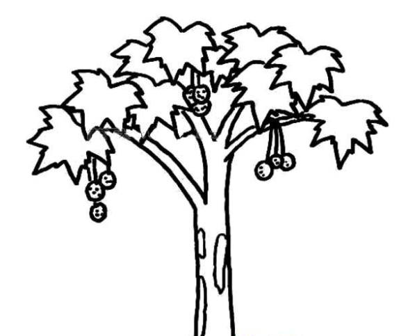 Simple strokes of fruit trees