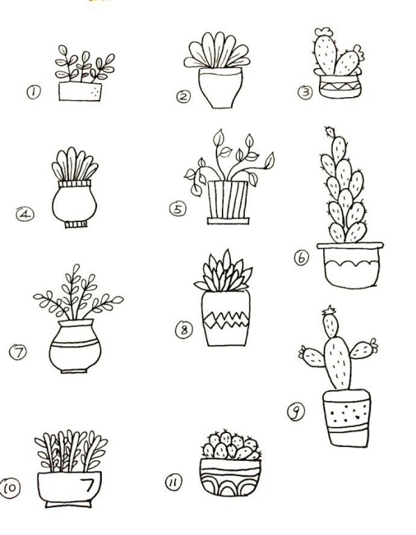 100 types of potted plants black and white simple drawing pictures