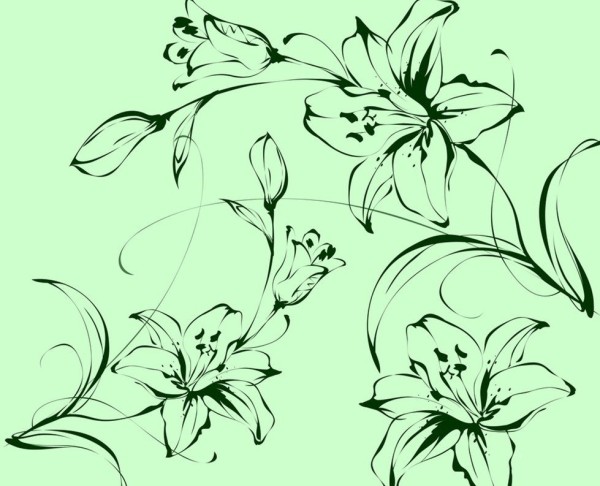 2016 Beautiful Lily Flower Simple Drawing Picture