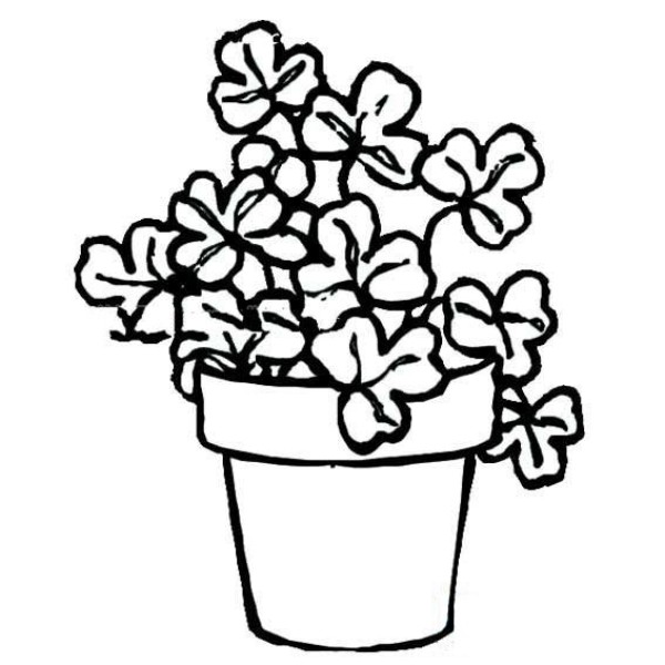 Simple drawing of small flowers in pot