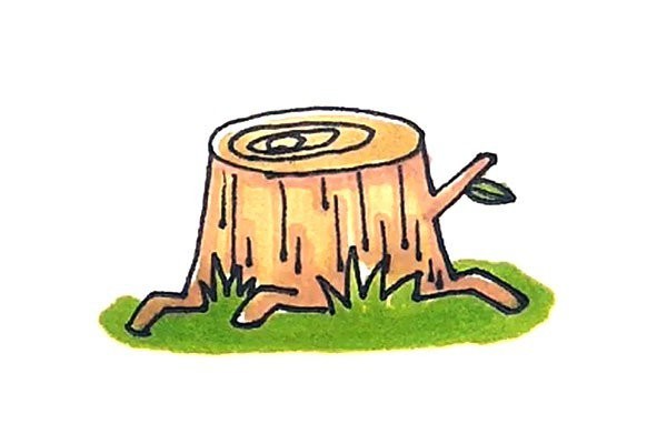 How to draw a tree stump