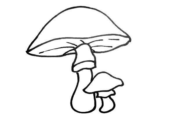 How to draw cute mushrooms