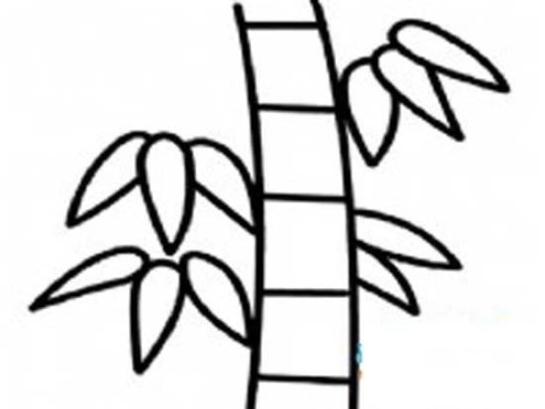 Childrens hand-drawn bamboo simple drawing pictures