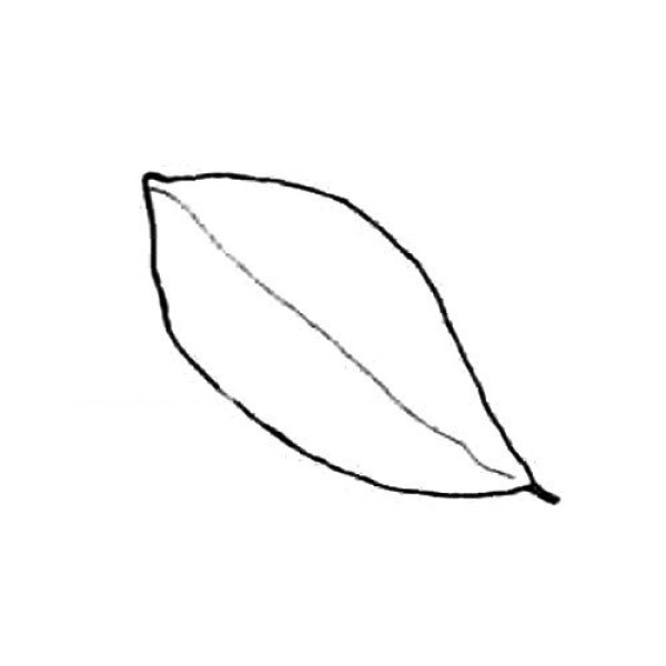 ordinary shaped leaves