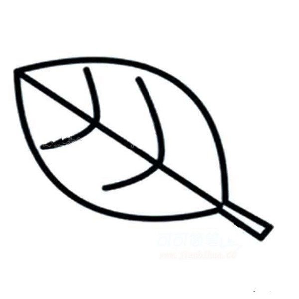 Simple leaf drawing