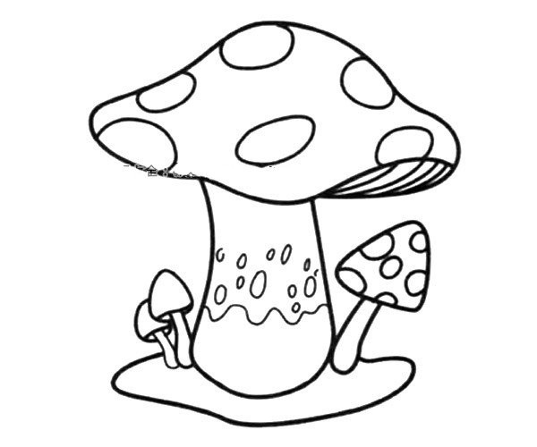 big mushroom small mushroom