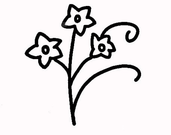 Simple drawing method of daffodils