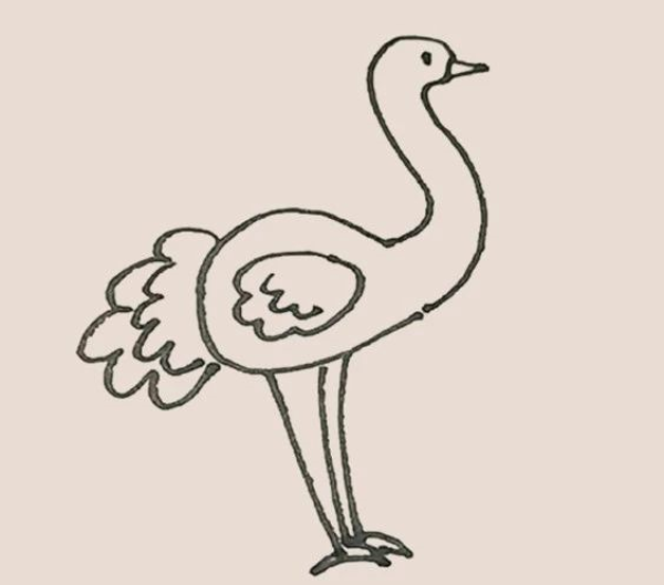 How to draw an ostrich in simple strokes