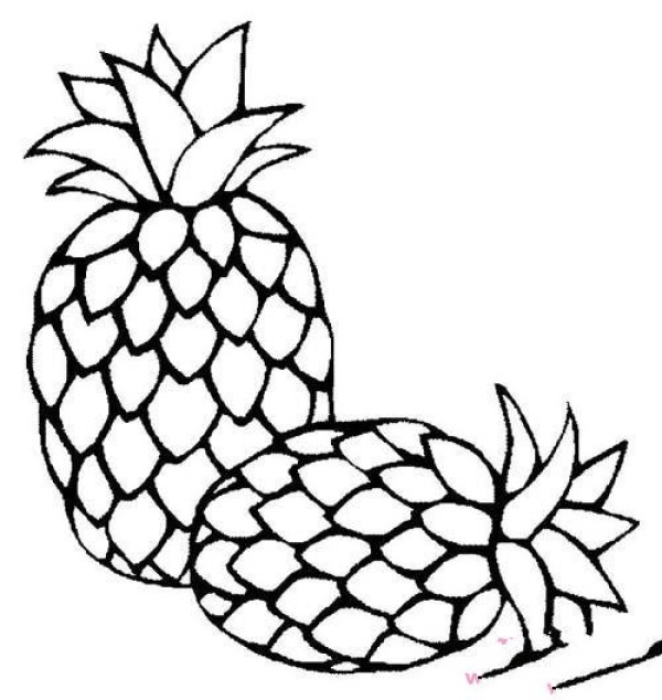 Childrens simple drawing picture of 2 pineapples