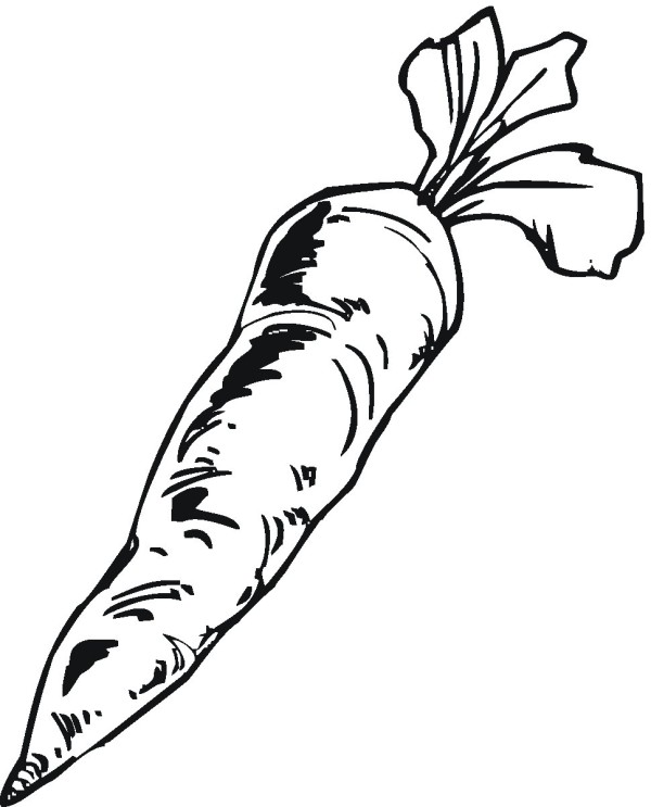 How to draw a carrot