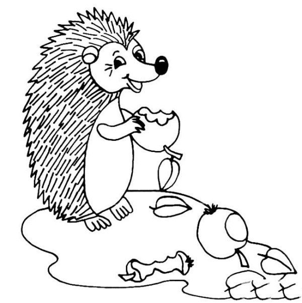 Animal simple drawings cartoon hedgehog simple drawings